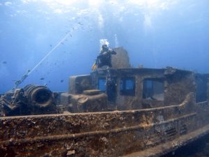 Atlantic Princess Wrack Coralpoint Blog