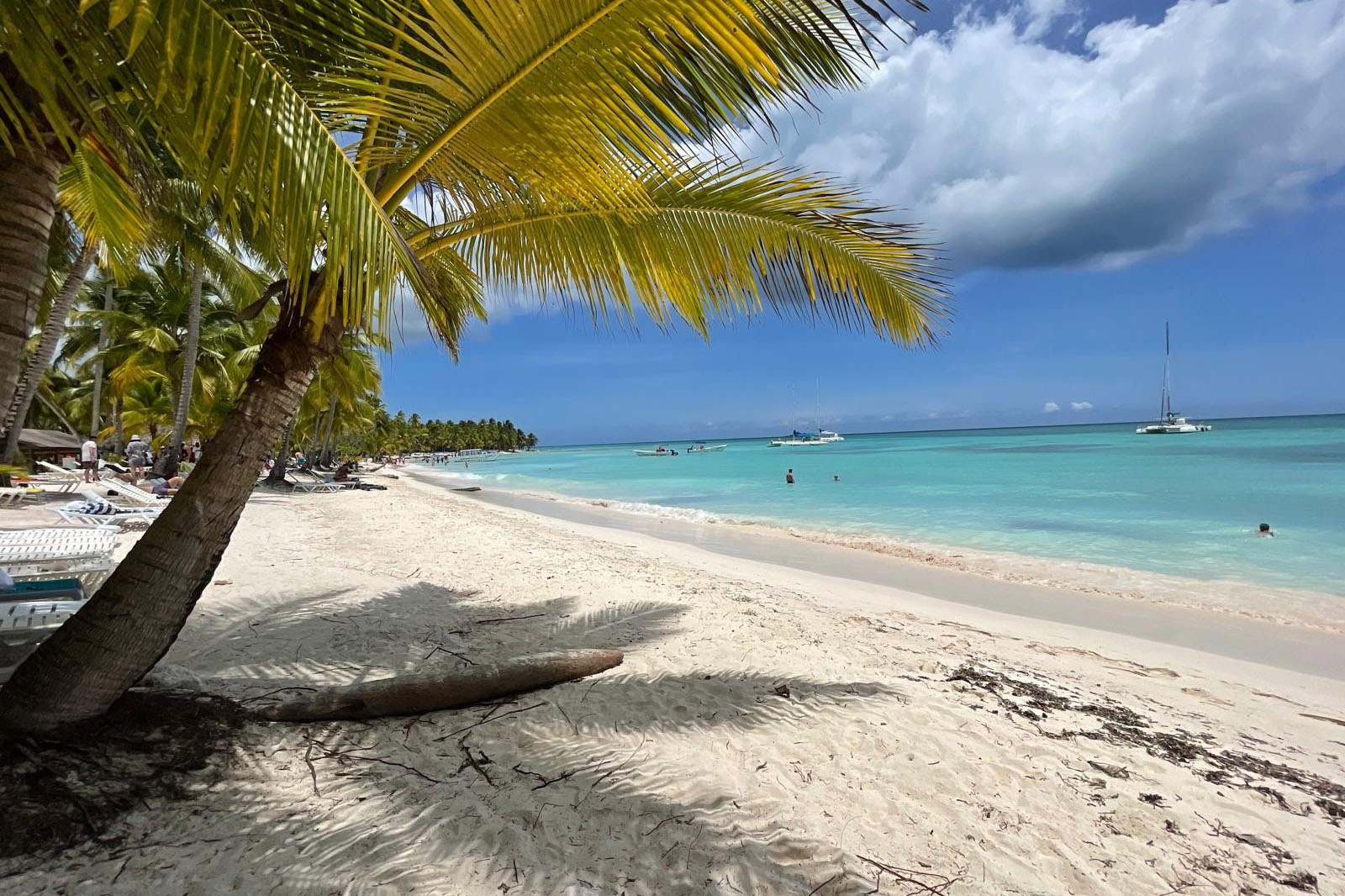 PADI Open Water Dive