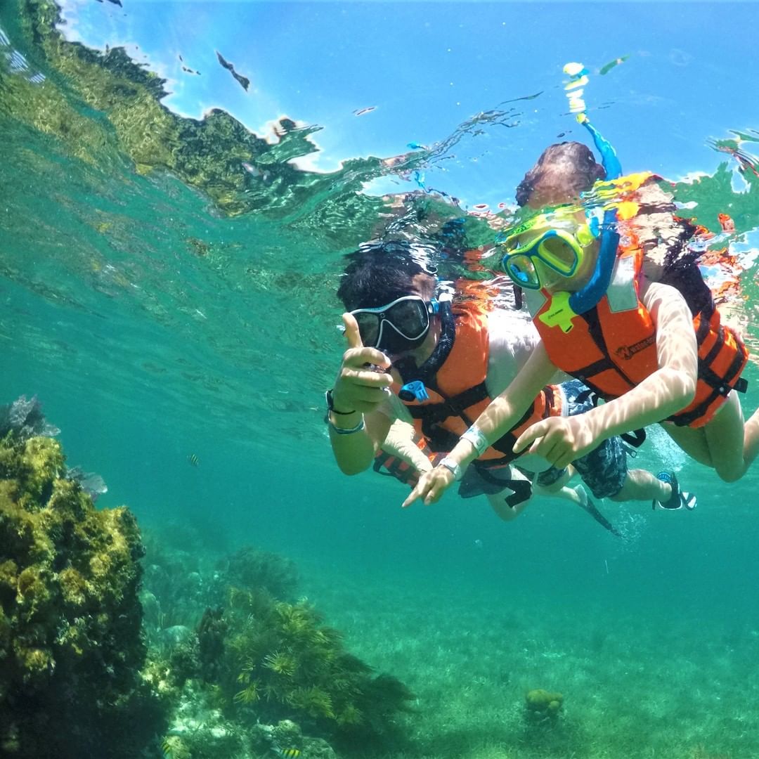 PADI GoPro underwater photos at Coral Point Diving