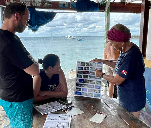 Plongeur informé Coral Point