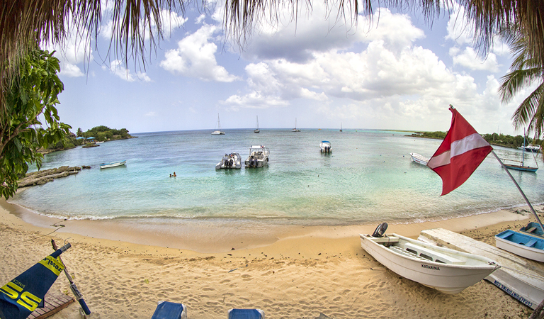 Vita marina nelle barriere coralline di Bayahibe
