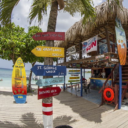 Buceo privado y alquiler de embarcaciones en Bayahibe con Coral Point Diving