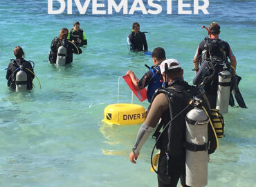 Divemaster Course