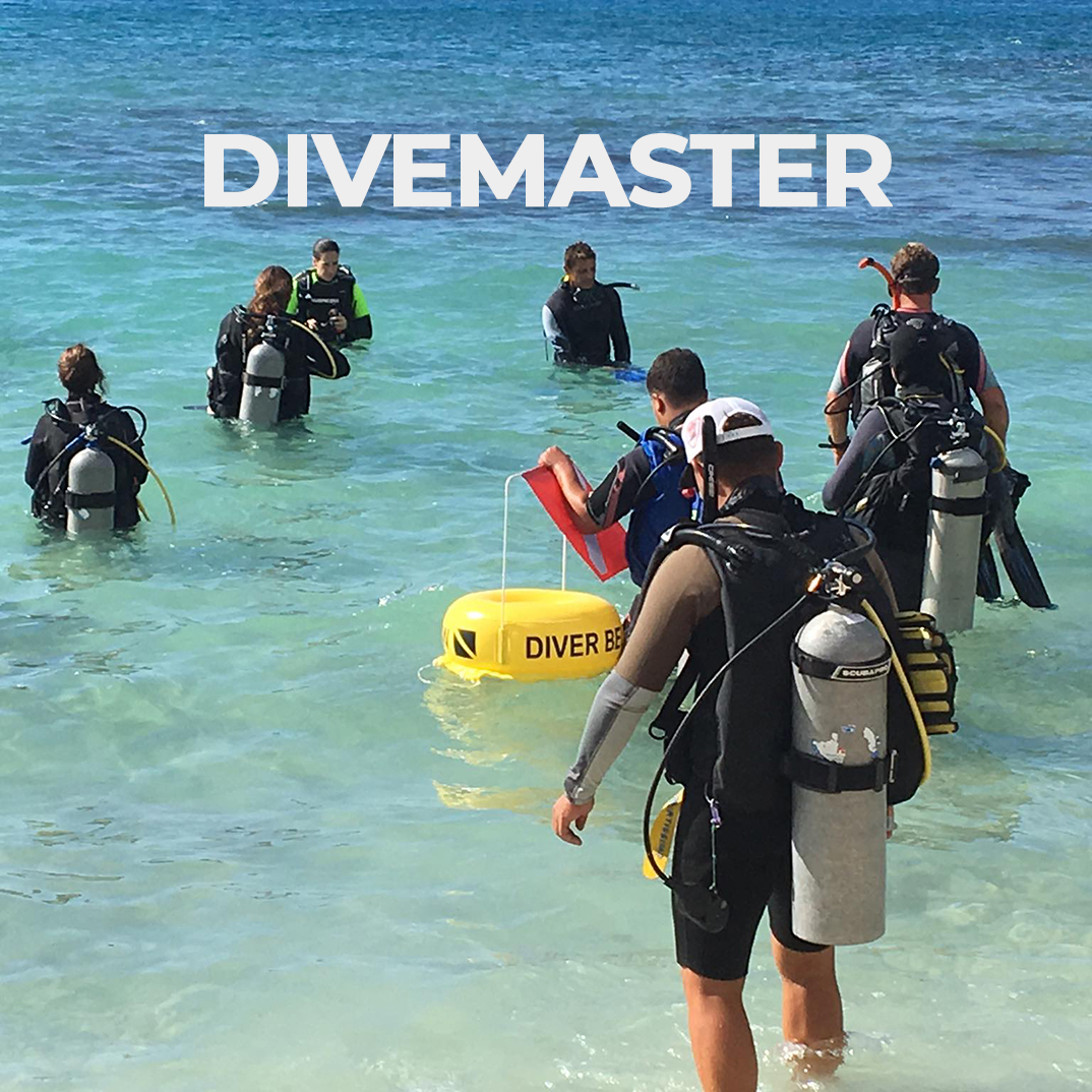 Divemaster Course