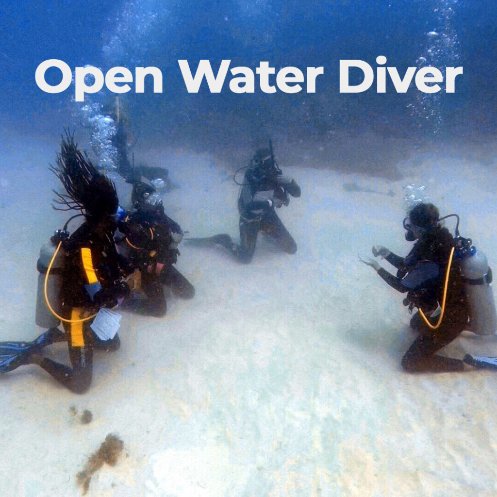 Open Water Course Open Water Diver Course