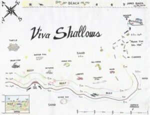 Viva Shallow map