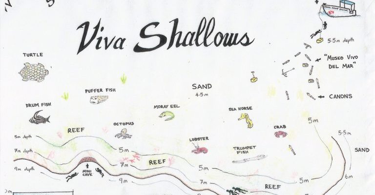 Viva Shallow map